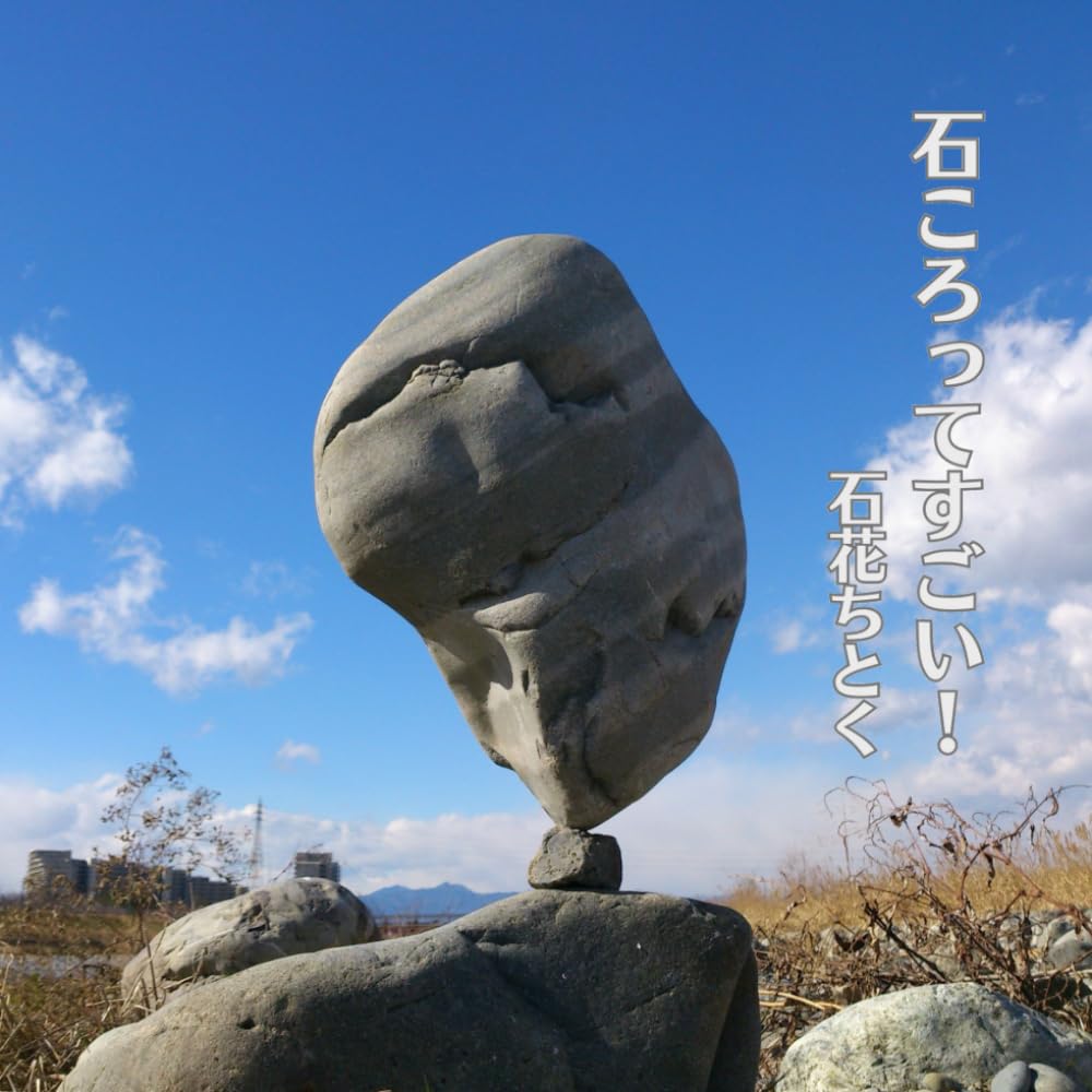 石ころ様 石ころってすごい！ | 石花ちとく, ちとく |本 | 通販 | Amazon